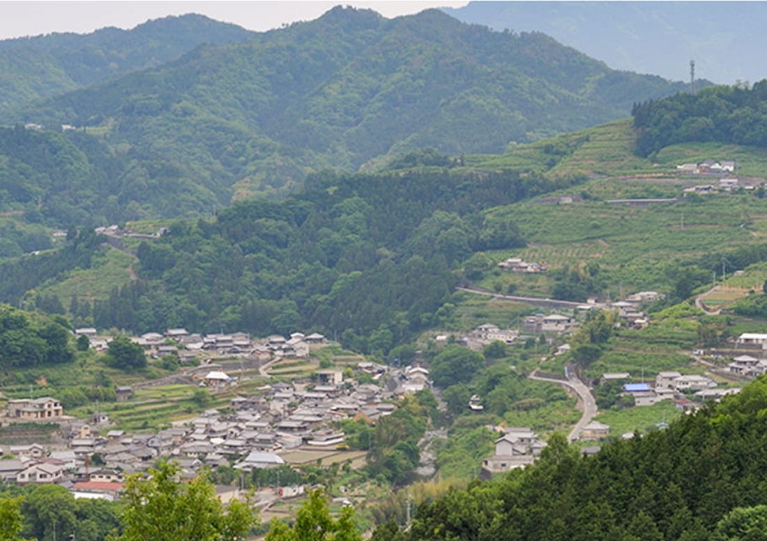 徳島県美馬郡つるぎ町の半田地区を高所から一望している様子