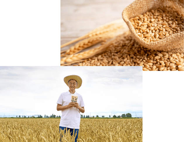 小麦畑と農家