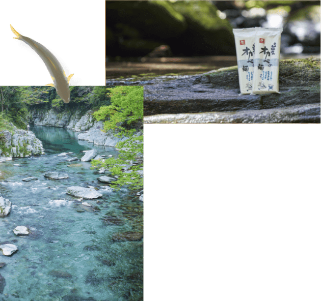チンダル現象によって青くなっている清流”吉野川”。川沿いの岩にパッケージに包まれたオカベの麺が置かれている様子